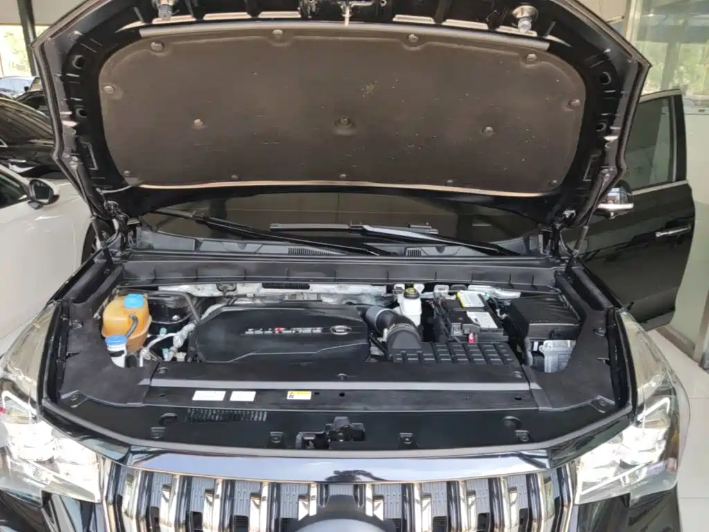 GAC Trumpchi GS8 2021 — фото 20