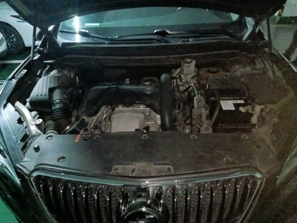 Buick Envision Plus 2017 — фото 21