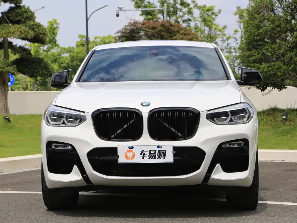 BMW X4 2019 — фото 2