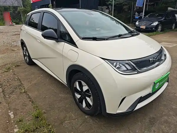 BYD Dolphin 2024