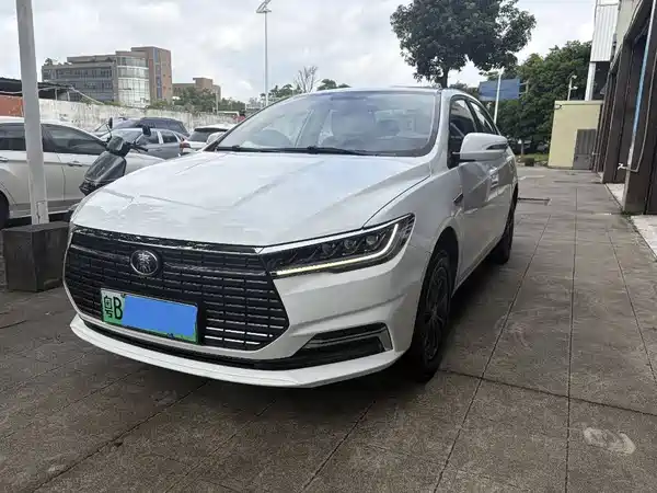 BYD Qin New Energy 2021