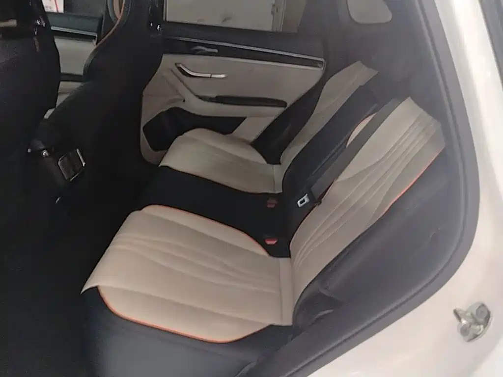 BYD Song PLUS New Energy 2024 — фото 17