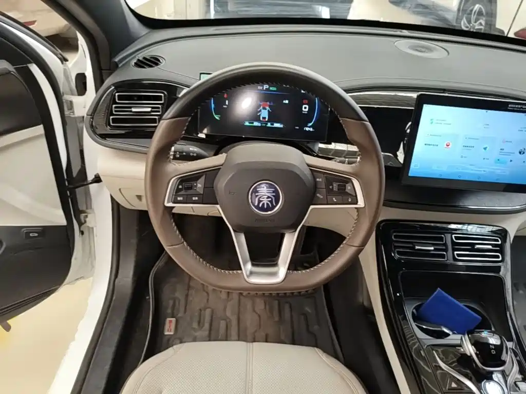 BYD Qin PLUS 2025 — фото 11