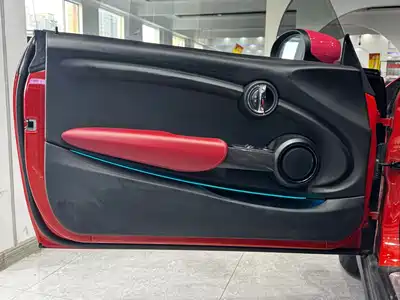 MINI MINI 2020