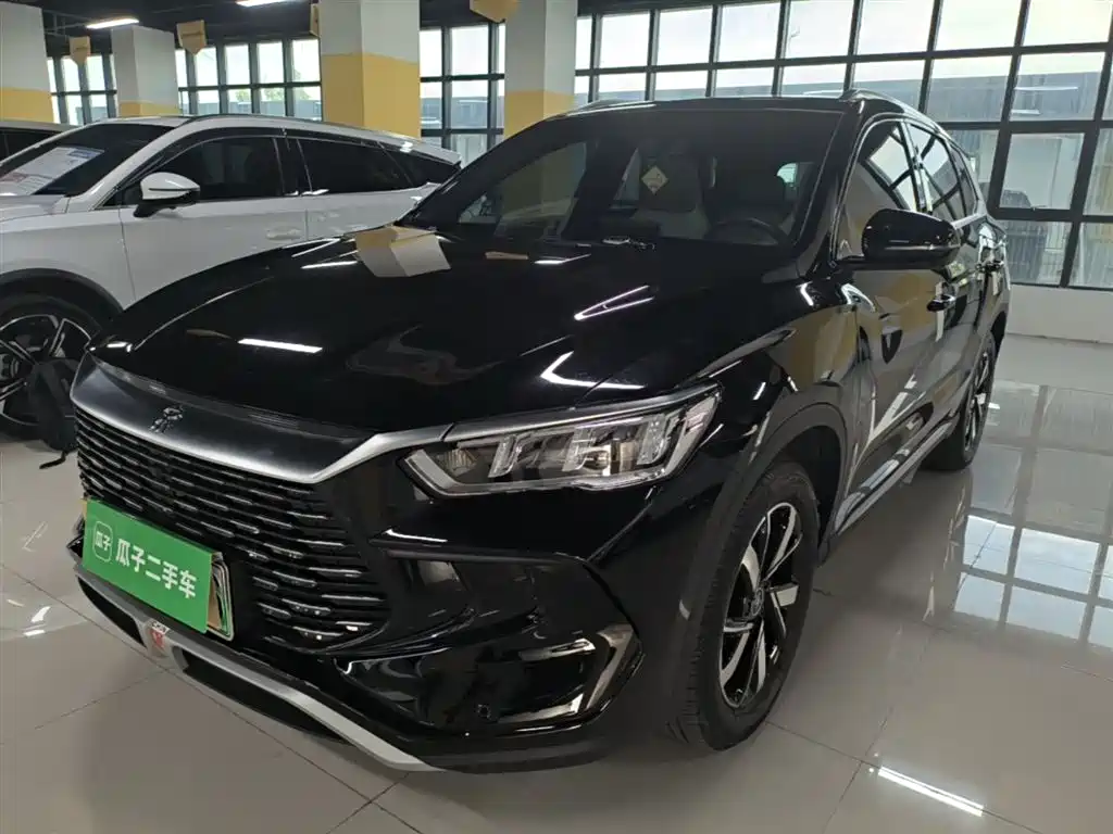 BYD Pro New Energy 2024 — фото 2