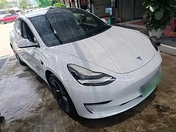 Tesla Model 3 2020