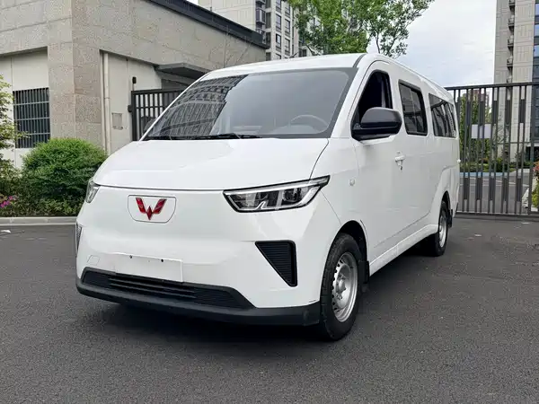 Wuling Yangguang 2024