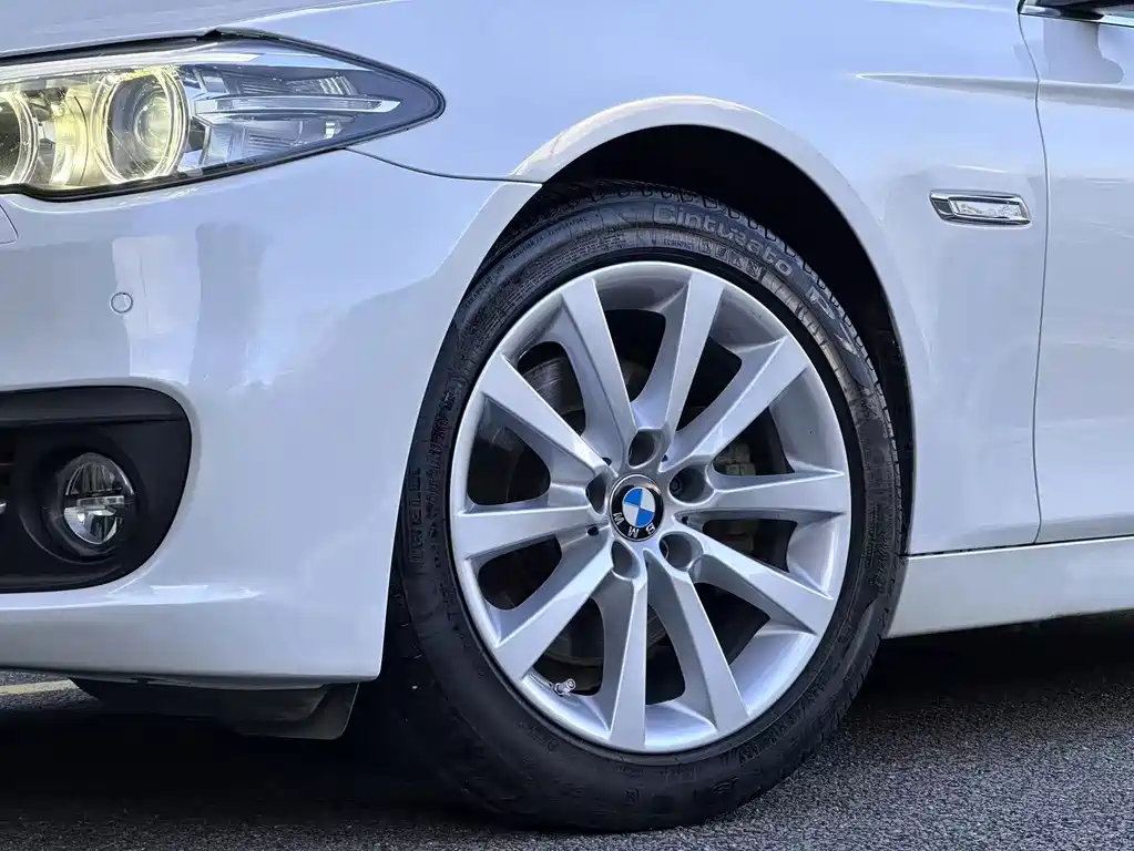 BMW 5 Series 2014 — фото 15