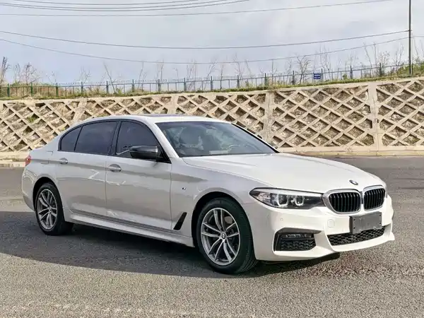 BMW 5 Series 2019