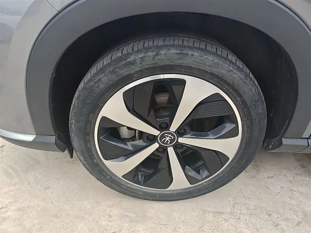 BYD PLUS New Energy 2022 — фото 23