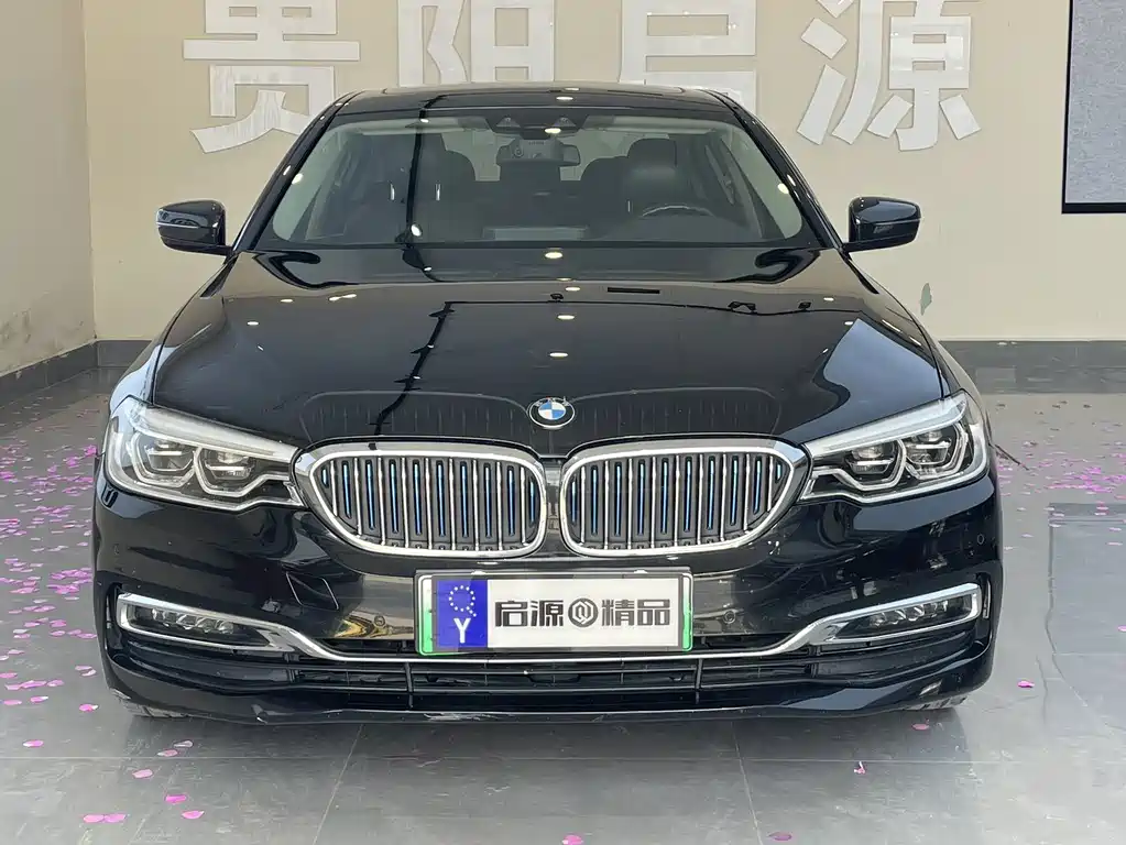 BMW 5 Series New Energy 2019
