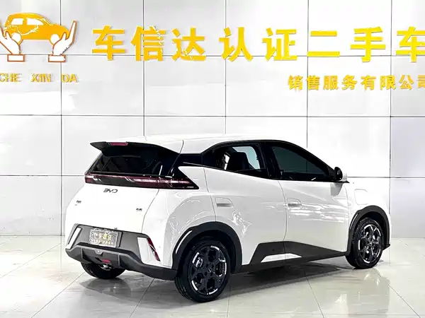 BYD Seagull 2024