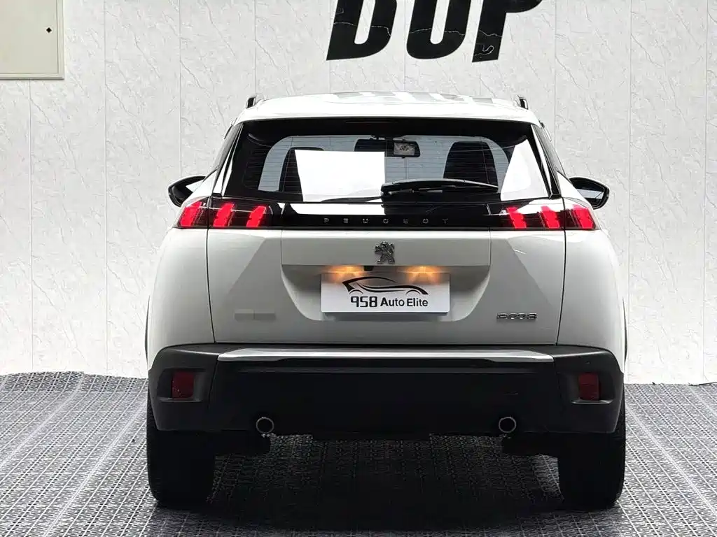Peugeot 2008 2023 — фото 12