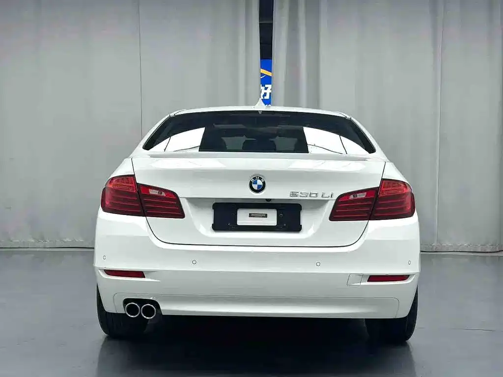 BMW 5 Series 2014 — фото 8