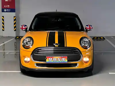 MINI MINI 2015
