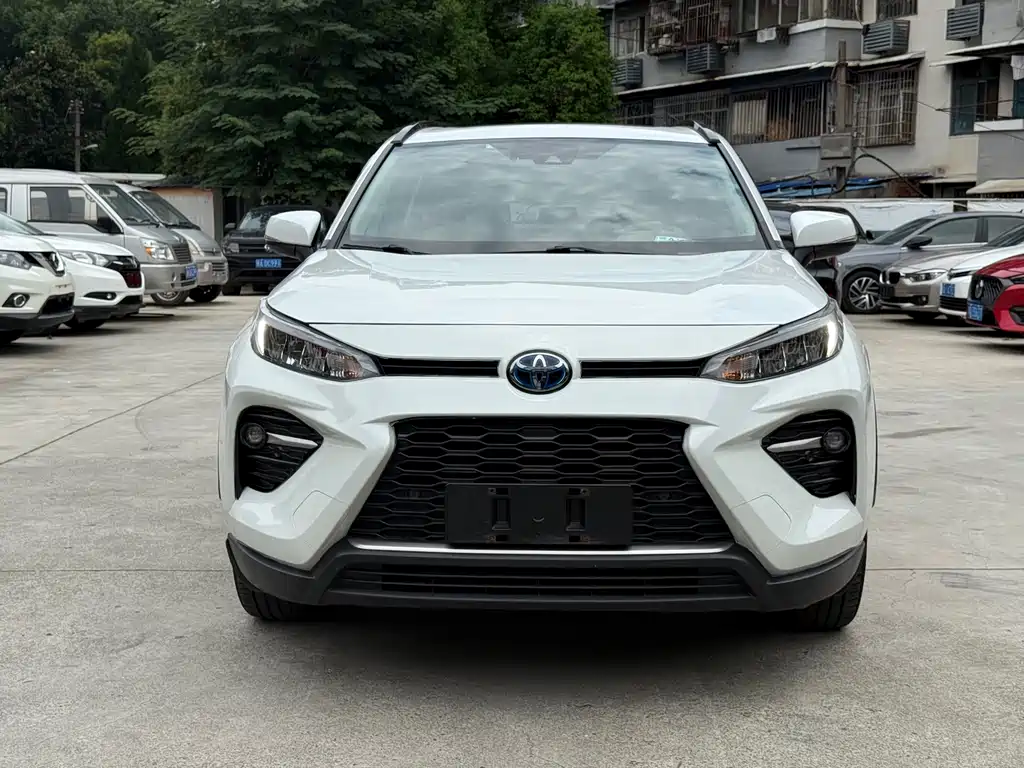 Toyota Wildlander 2020