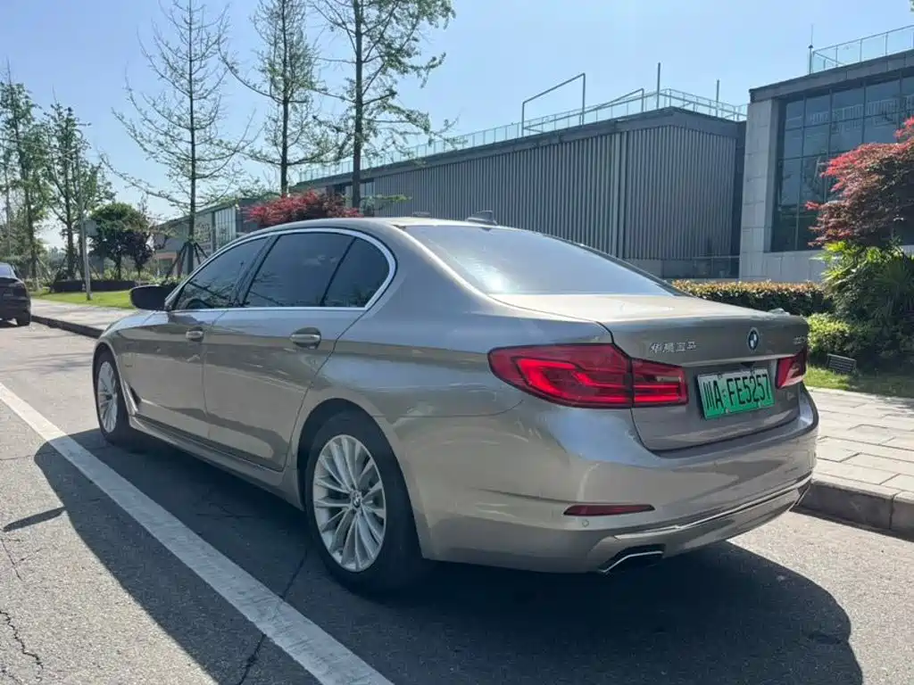 BMW 5 Series New Energy 2020