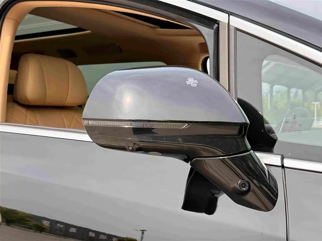 Denza D9 2025 — фото 22