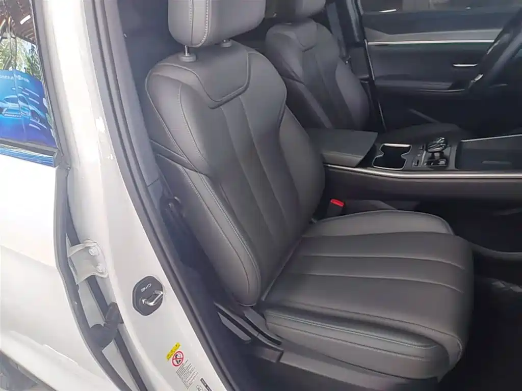 BYD Pro New Energy 2025 — фото 25