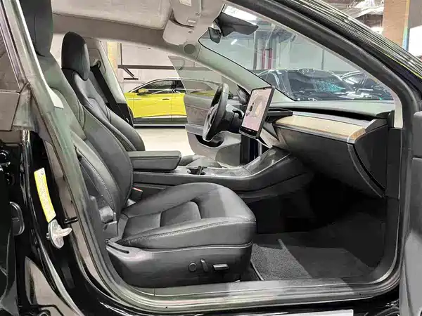 Tesla Model 3 2019
