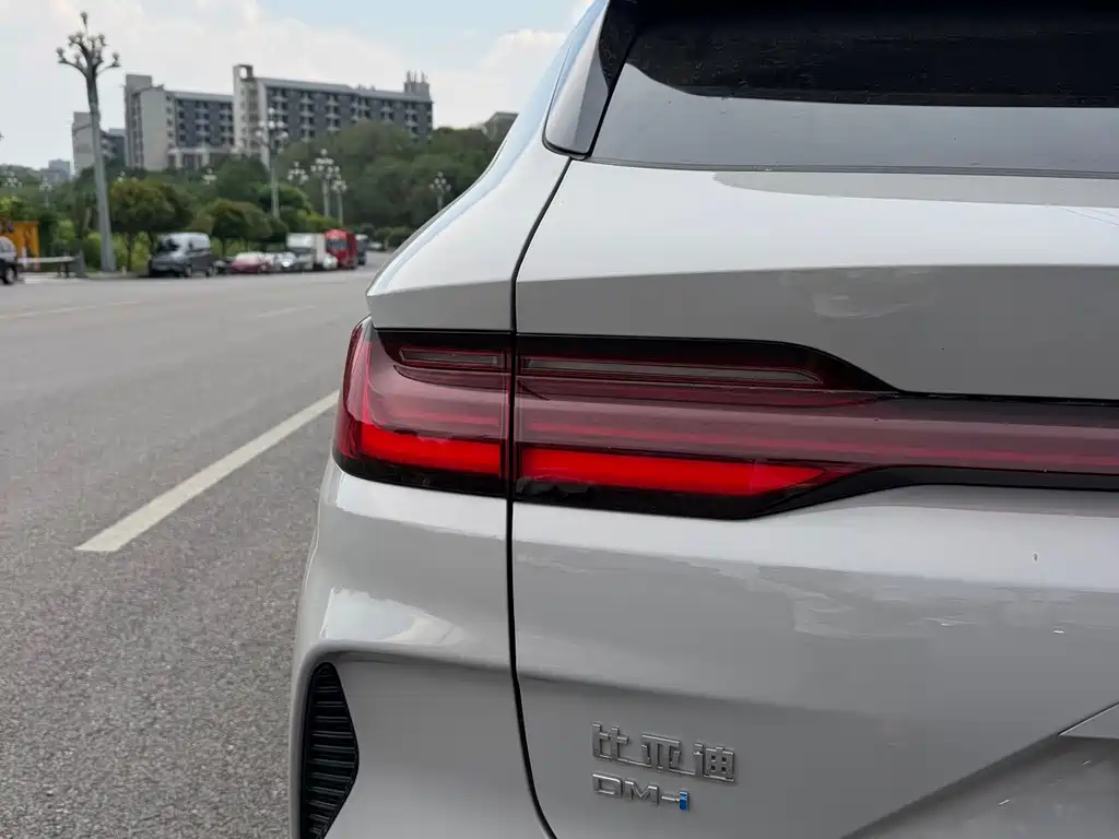 BYD Song PLUS New Energy 2025 — фото 14