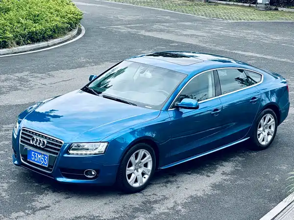 Audi A5 2010