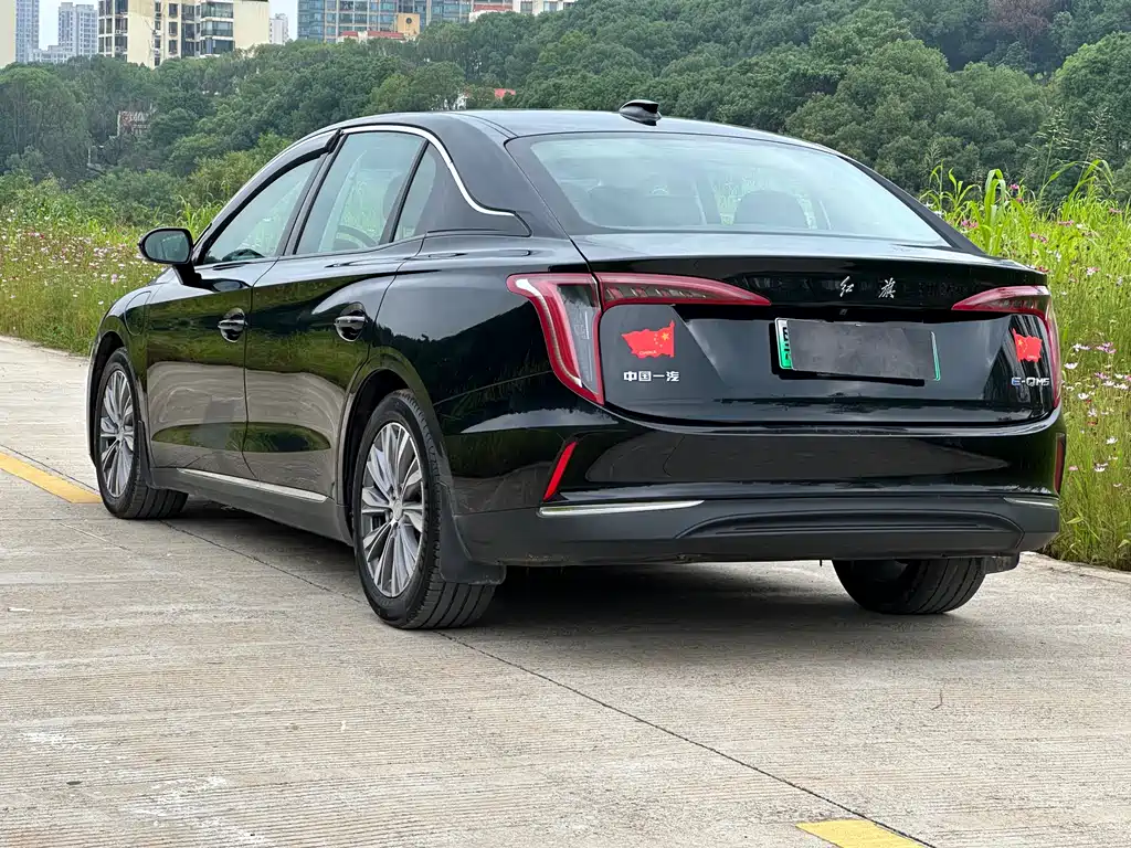 Hongqi E-QM5 2023 — фото 12