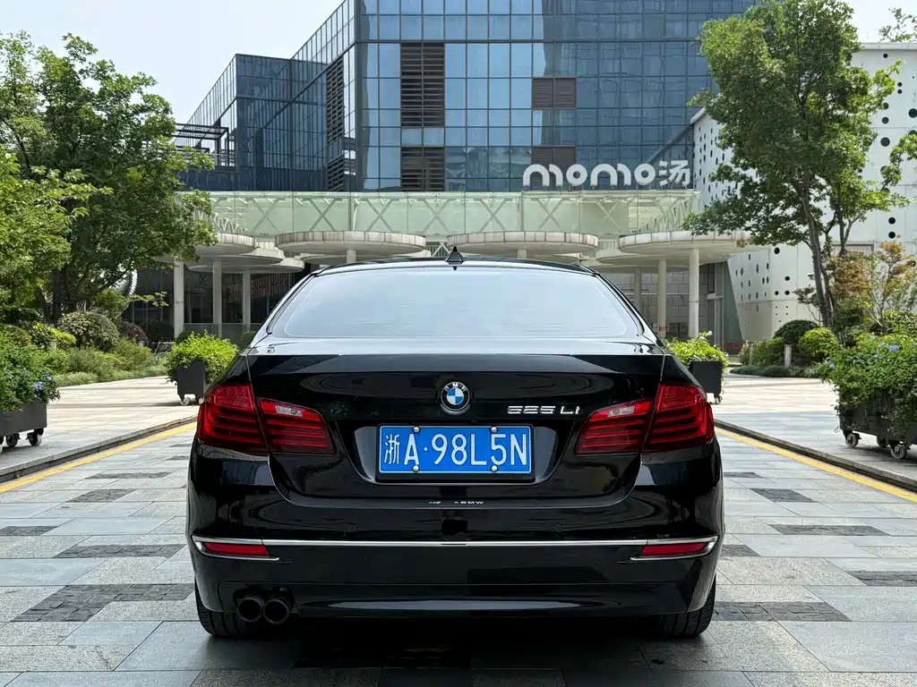 BMW 5 Series 2014