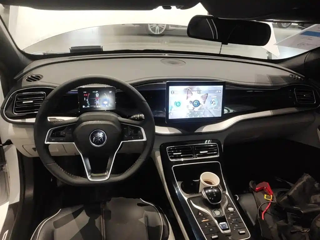 BYD Qin PLUS 2021 — фото 10