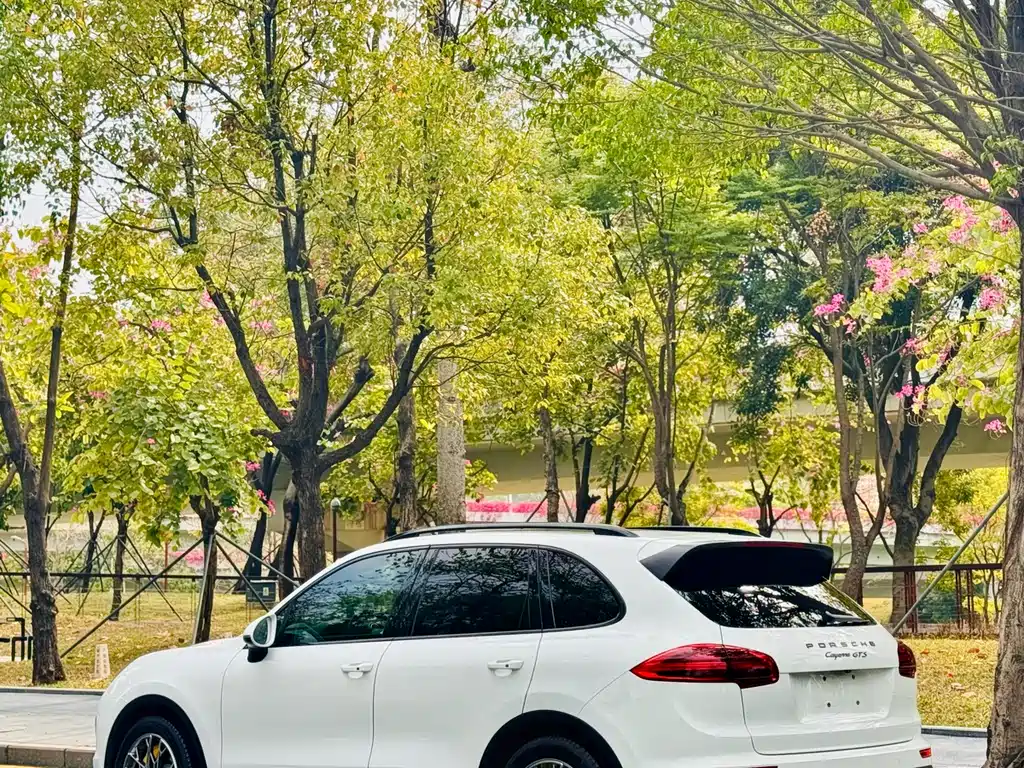 Porsche Cayenne 2015 — фото 10