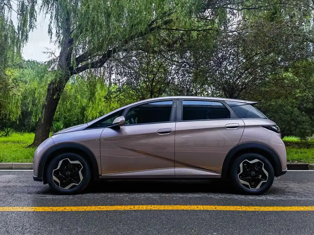 BYD Dolphin 2022