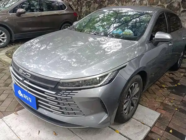 BYD Destroyer 05 2024