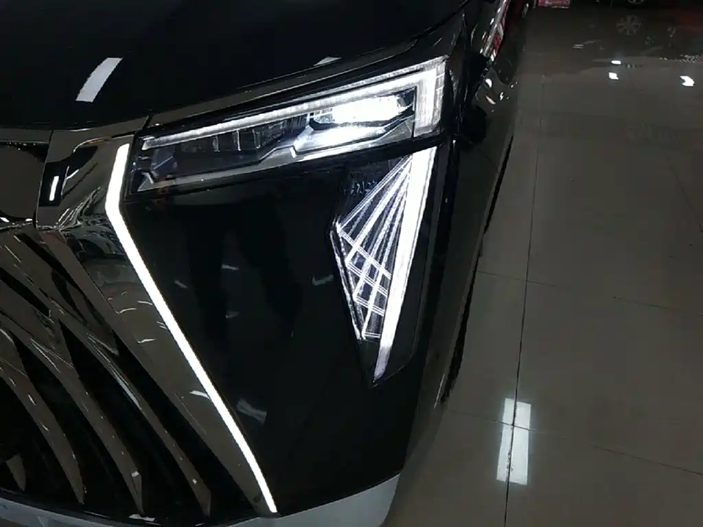 GAC Motor Trumpchi E9 2024 — фото 24