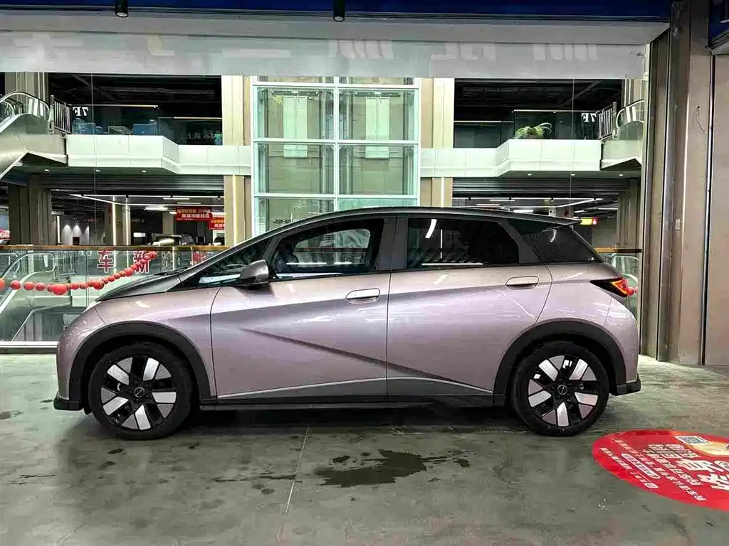 BYD Dolphin 2024