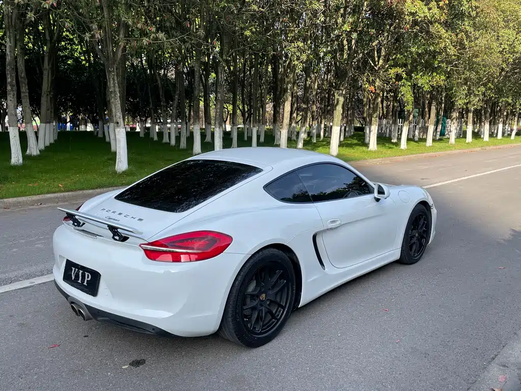 Porsche Cayman 2015 — фото 26