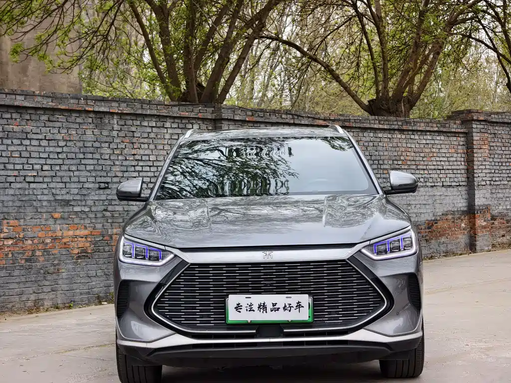 BYD PLUS New Energy 2021 — фото 2