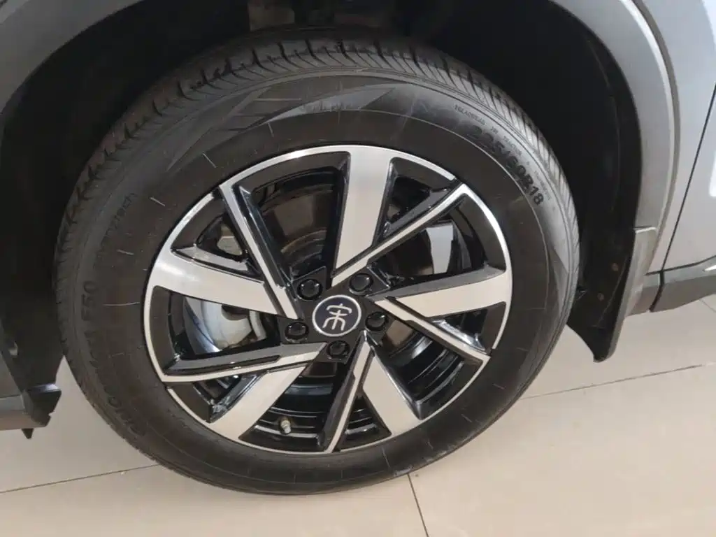 BYD Song Pro New Energy 2025 — фото 23