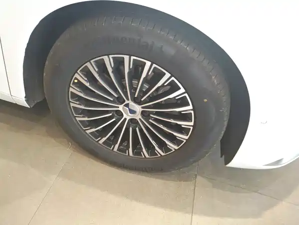 Denza D9 2023