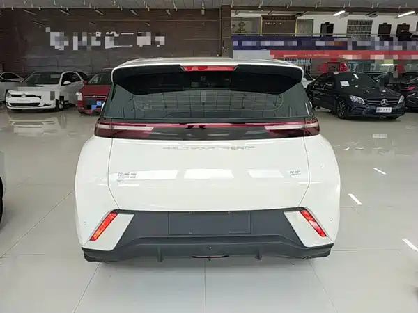 BYD Seagull 2024