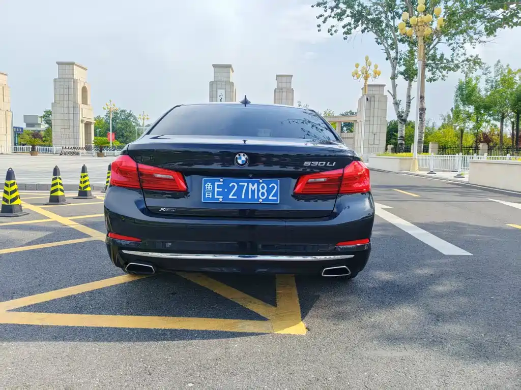 BMW 5 Series 2019
