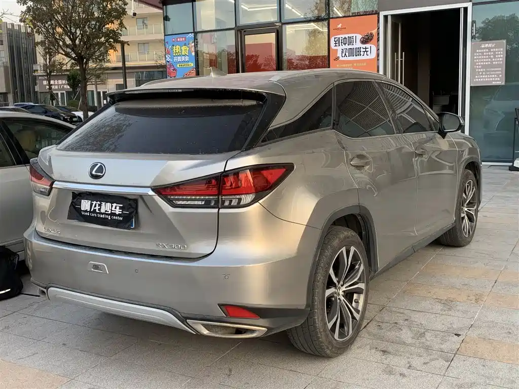 Lexus RX 2020 — фото 9