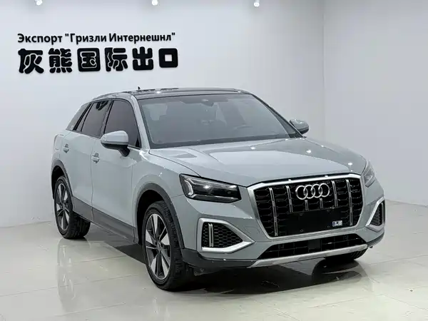 Audi Q2L 2022