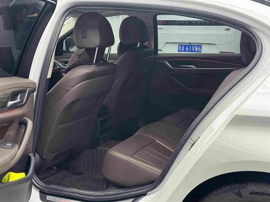 BMW 5 Series New Energy 2021