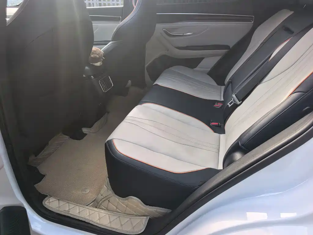 BYD Song PLUS New Energy 2022 — фото 13