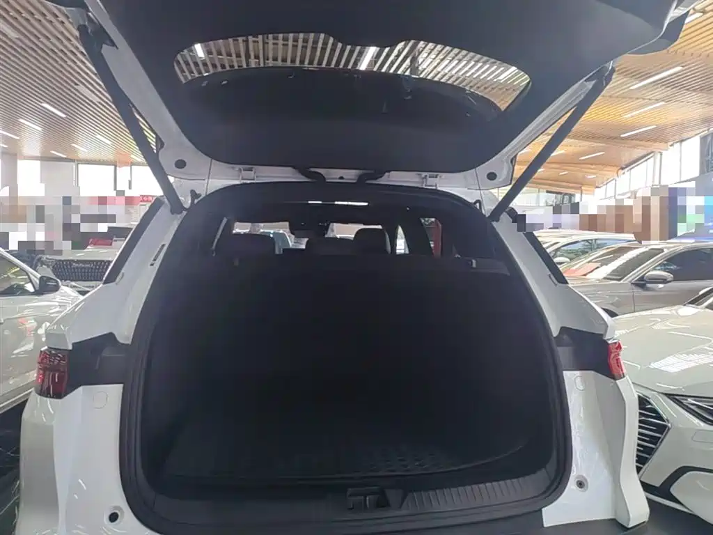 BYD Pro New Energy 2025 — фото 19
