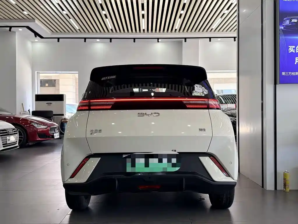 BYD Seagull 2024