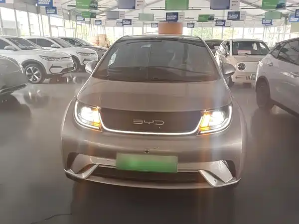 BYD Dolphin 2023