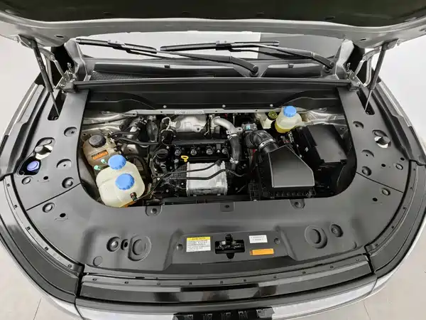 Dongfeng e008 2024