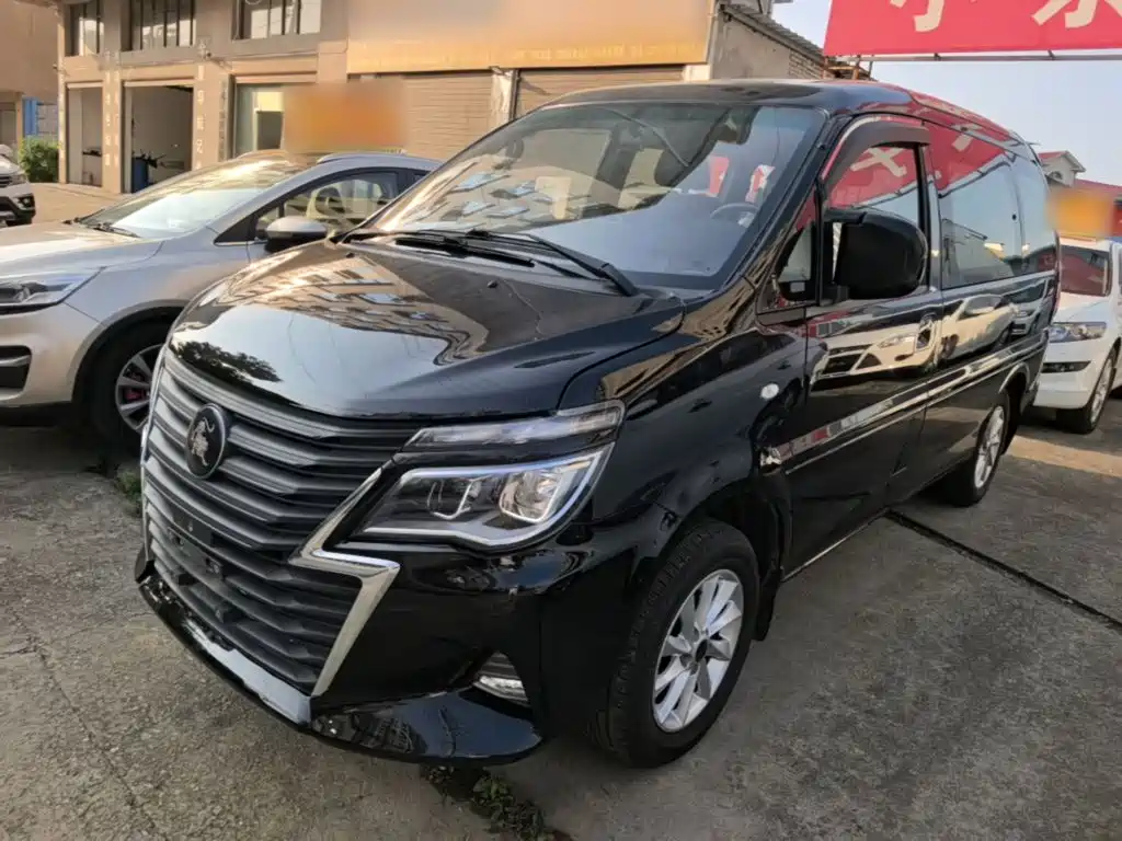 Fengxing Lingzhi 2022