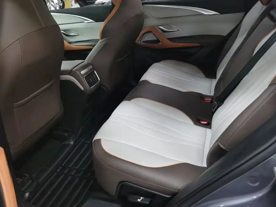 BYD Song Pro New Energy 2023 — фото 11
